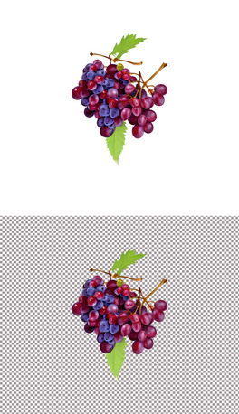 ˮʳֲ(10)