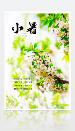 ԭ(chung)¸ɃĶʮĹ(ji)С(bo)