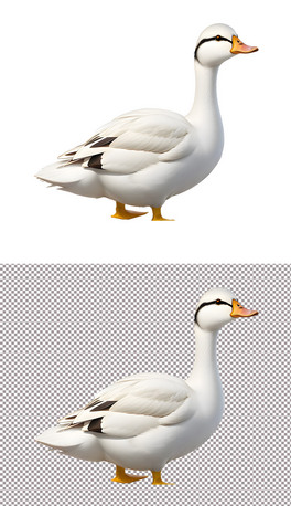 Сӄ^(1)