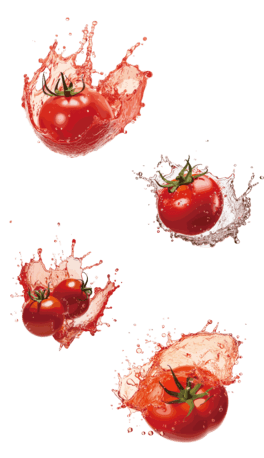 շʸDز4