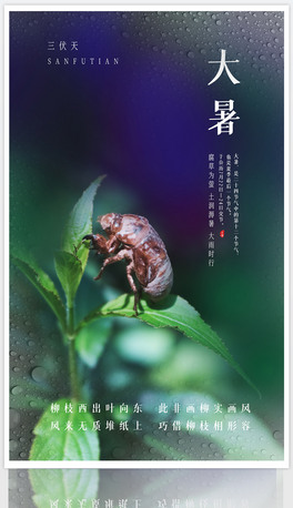 (bo)24(ji)ʮĹ(ji)Сs