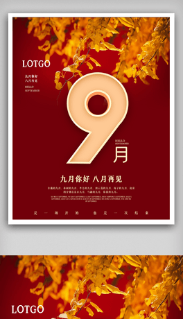 9 (bo)