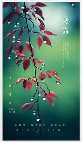 ¶¶պ¶24⺮¶ʮĹ⺮¶˪