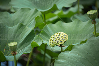 ܇?yn)?>
                                                                    </a>
                                <div   id=