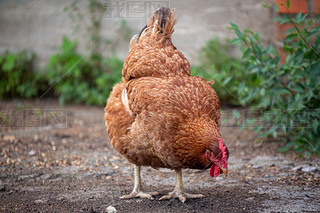 _(d)u