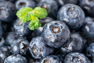 {ݮ