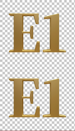 E1