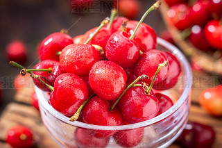 ʳļˮrļt6