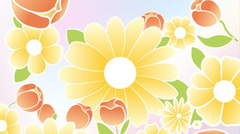 »_(ki)(dng)B(ti)ٻRŻʢ_(ki)(dng)B(ti)宋(hu)
