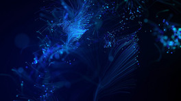 lϳҕl