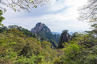 SɽL(fng)^(q)ȻL(fng)