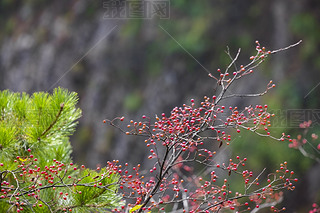 SɽȻL(fng)^(q)ɽϵļtɫ{