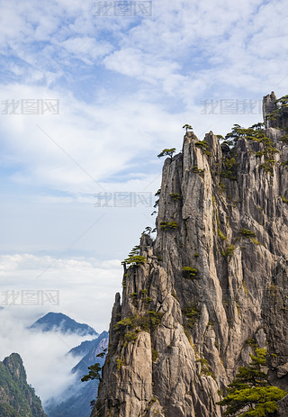 SɽL(fng)^(q)ȻL(fng)