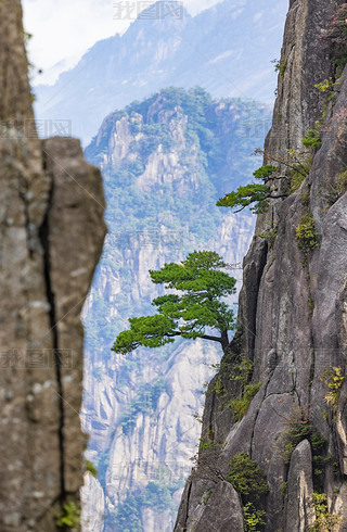 SɽL(fng)^(q)ȻL(fng)