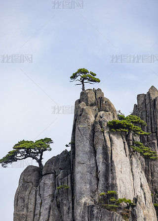 SɽL(fng)^(q)ȻL(fng)