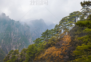 SɽL(fng)^(q)ȻL(fng)