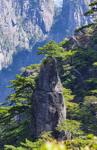 SɽL(fng)^(q)ȻL(fng)