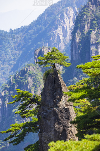 SɽL(fng)^(q)ȻL(fng)