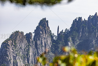 SɽL(fng)^(q)ȻL(fng)