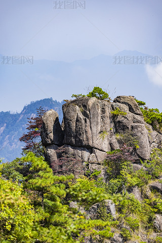 SɽL(fng)^(q)ȻL(fng)