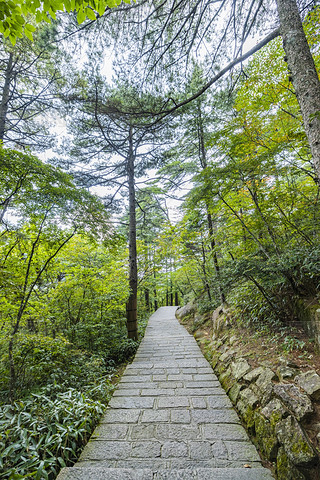 SɽȻL(fng)^(q)ɽgͨ