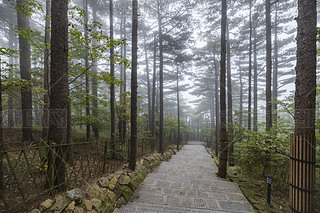 SɽȻL(fng)^(q)ɽgͨ