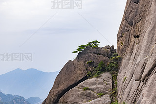 SɽL(fng)^(q)ȻL(fng)