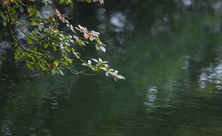 ˮĘ֦