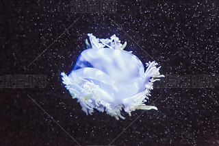ˮ^Ưˮĸ