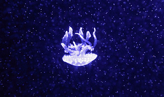 ˮ^Ưˮĸ