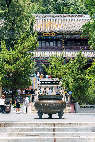 T(mn)^υ^(q)̶¾^(q)L(fng)