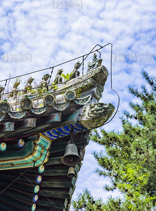 T^υ^(q)̶¾^(q)L(fng)