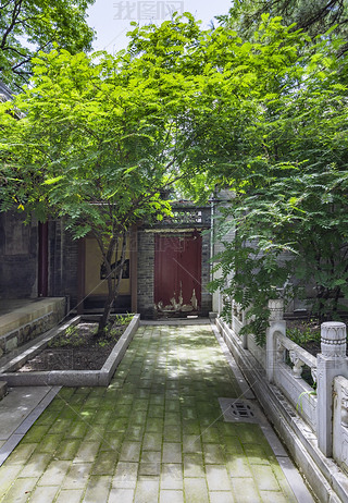 T(mn)^υ^(q)̶¾^(q)L(fng)