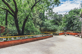 T^υ^(q)̶¾^(q)L(fng)