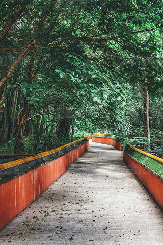 T(mn)^υ^(q)̶¾^(q)L(fng)