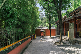 T^υ^(q)̶¾^(q)L(fng)