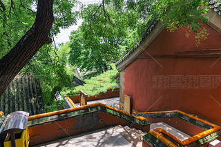 T(mn)^υ^(q)̶¾^(q)L(fng)