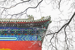 ѩı쉯@L