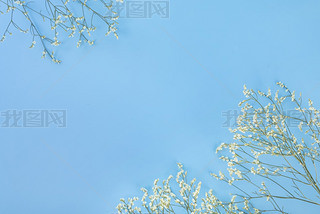 (ji)ռջƽ䁔zӰ