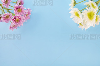 (ji)ռջƽ䁔zӰ