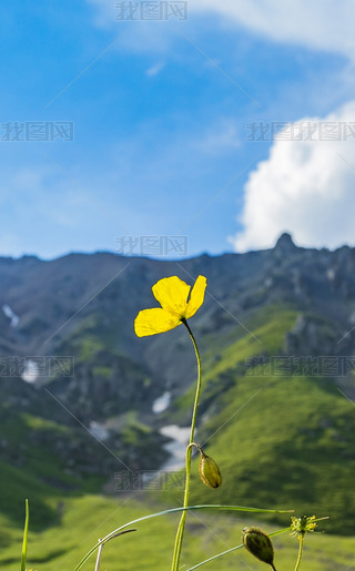 ˮ