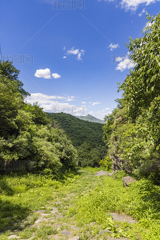 T^ϾŵL(fng)^(q)ȻL(fng)