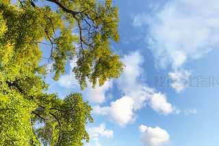 ЇEhPɽL(fng)^(q)L(fng)