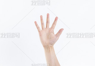 һֵֻĸNք
