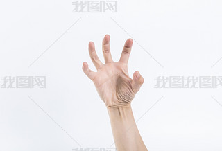һֵֻĸNք
