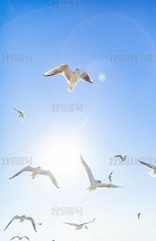 ?yn)I^(q)ϴa^Ⱥwĺt