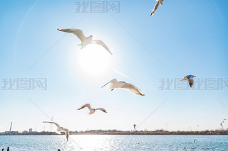 ?yn)I^(q)ϴa^Ⱥwĺt