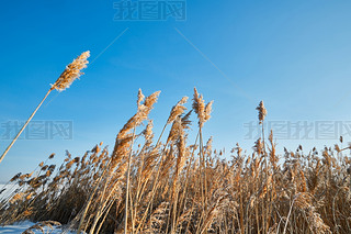 ѩغ߅SL(fng)hӵĿSJȔʎ