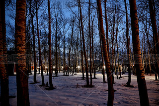 Ї(gu)ӱҿڎ(k)׾^(q)ľ݄eȺ