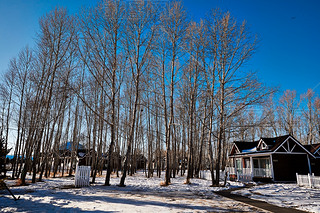 Їӱҿڎ삐׾^(q)ľ݄eȺ